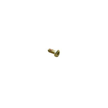 Machined Torx Head Screw (Zinc Plated)
